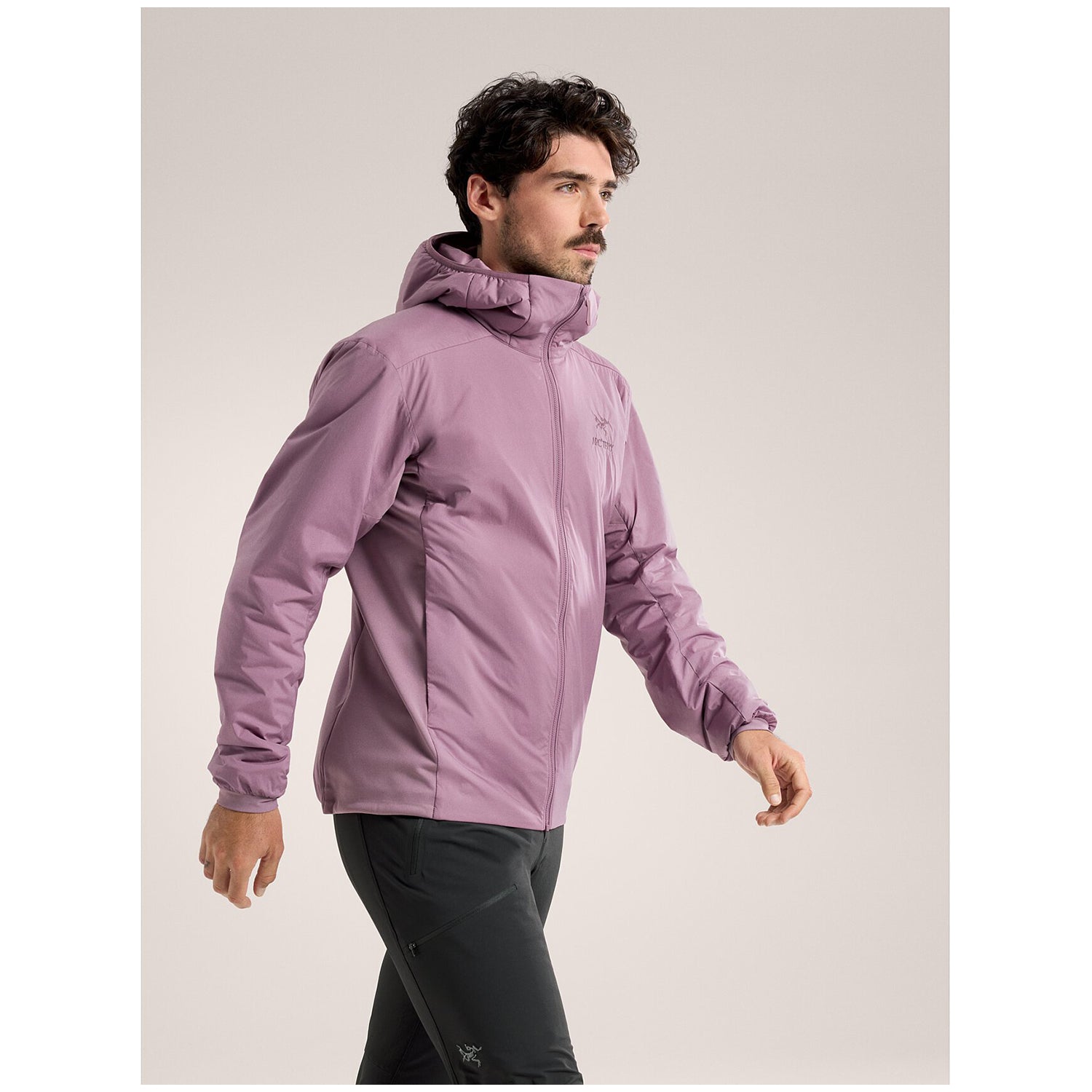 Arc'teryx Atom Hoodie - Men's – evo