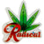 OneBall Radical Grip Stomp Pad