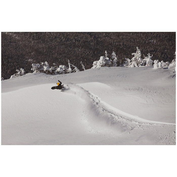Season Forma Snowboard 2025