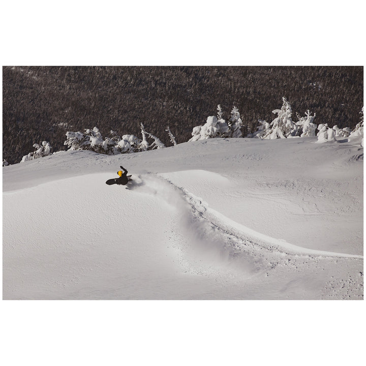 Season Forma Snowboard 2025