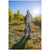L1 Krush Pants - Women's Camo