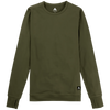Forest Moss