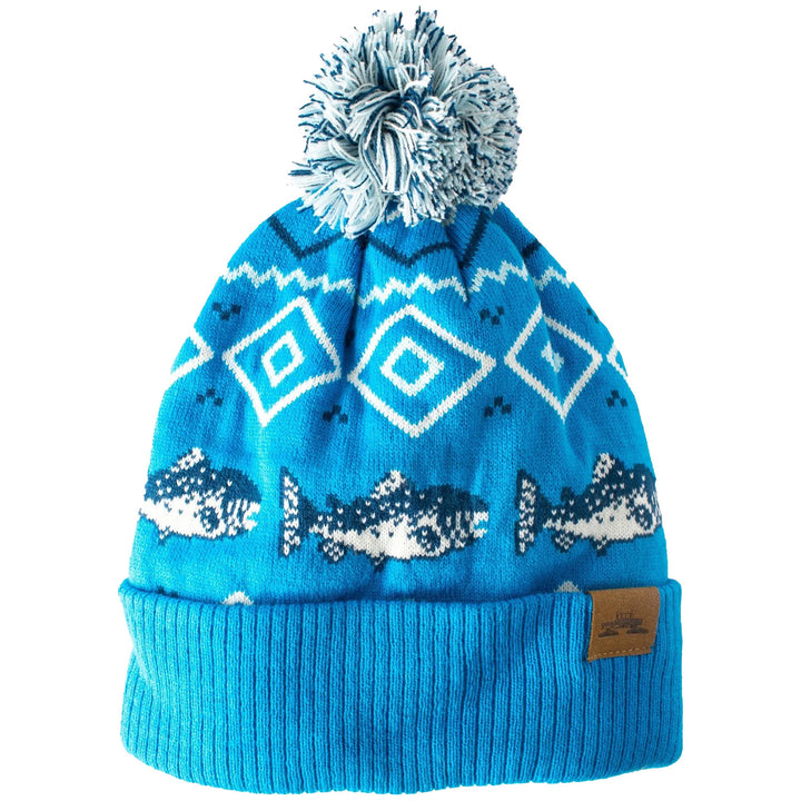 Spacecraft Wild Pom Beanie Blue