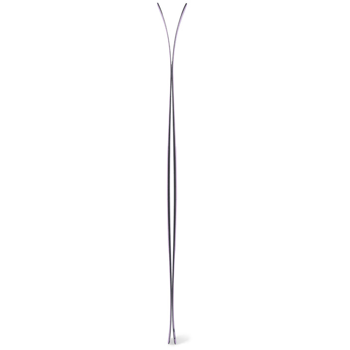 DPS Wailer 100 Skis 2026