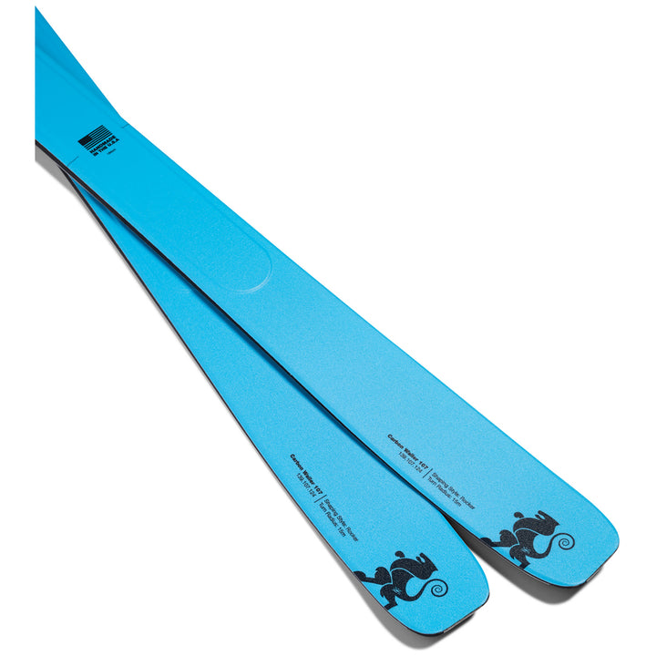 DPS Wailer 107 Skis 2026