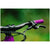 Transition Ripcord Complete Mountain Bike - Kids' 2025 Boysenberry