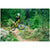 Transition Scout Alloy Deore Complete Mountain Bike - Kids' 2025 Dandelion