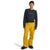 Burton Ballast GORE-TEX 2L Pants - Men's Goldenrod