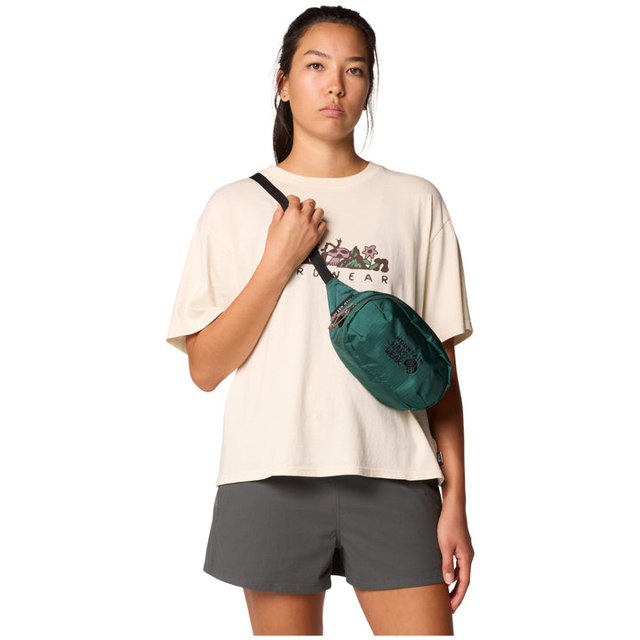 Mountain Hardwear Field Day™ Hip Pack Aqua Green