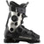 Salomon S/Pro Supra Dual BOA 105 W Ski Boots - Women's 2026 Black/Light Bronze Metallic/Black