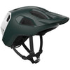 Pargasite Green Matte/Hydrogen White Matte