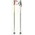 Völkl Phantastick 18mm Ski Poles 2026 Green