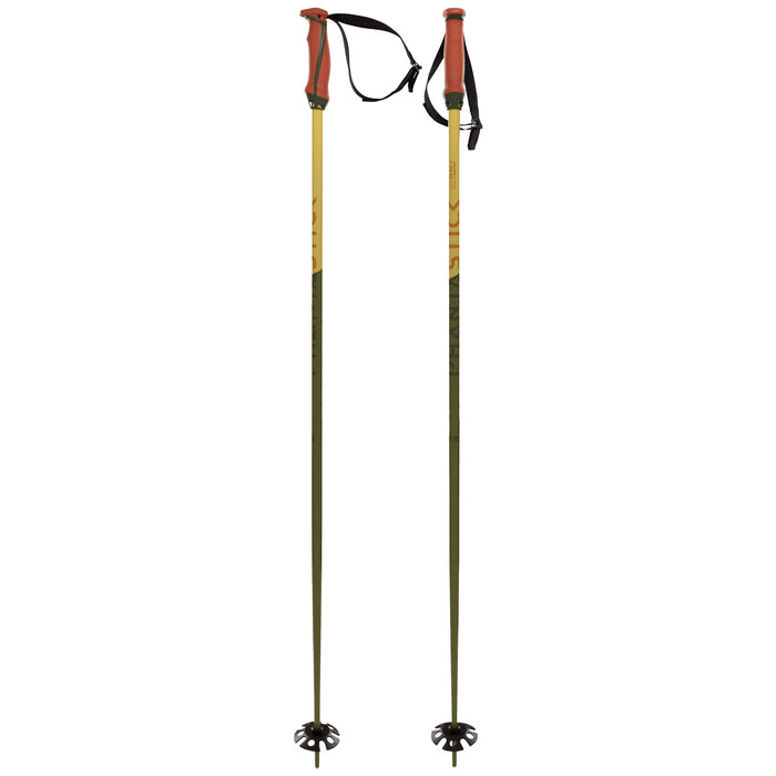 Völkl Phantastick 18mm Ski Poles 2026 Green