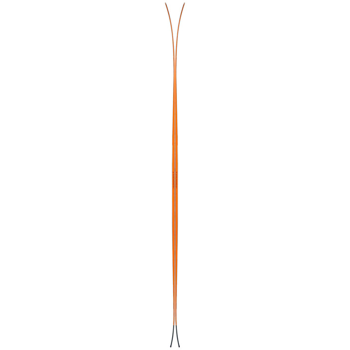 Black Crows Solis Skis 2025