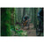 Transition Regulator SX Carbon XT E-Mountain Bike 2025 Madrone Gold