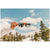 Sunski Ferrata Sunglasses Spruce/Silver Polarized