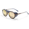 Tortoise/Gold Polarized