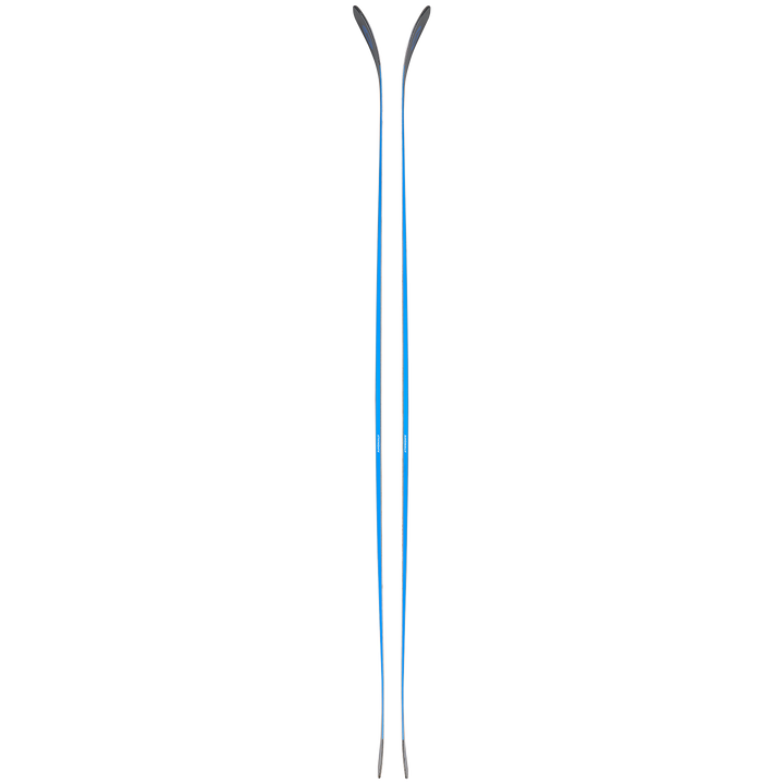 Blizzard Anomaly 84 Skis 2025