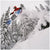 Nidecker Gamma Snowboard 2025