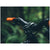 PNW Components Loam Stem Blackout Black