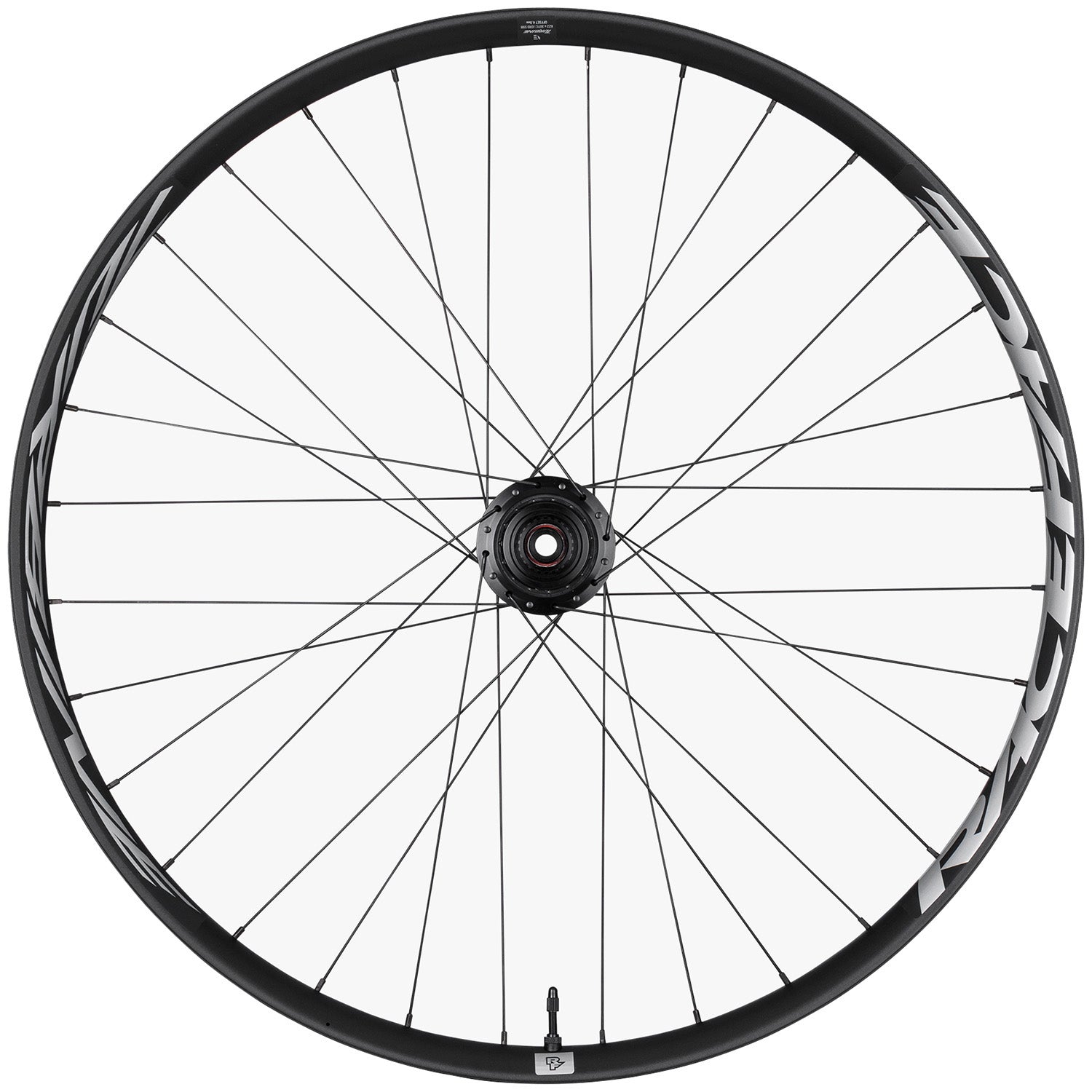 Race Face Turbine eMTB Wheels - Thumbnail 5