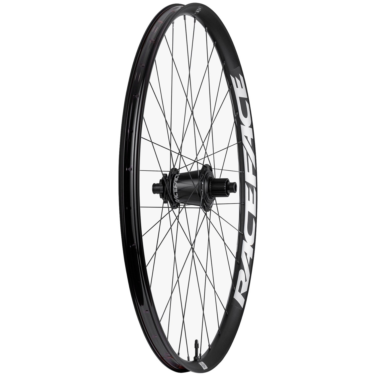 Race Face Turbine eMTB Wheels - Thumbnail 3