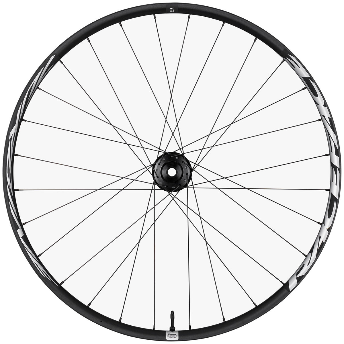 Race Face Turbine eMTB Wheel - 29"