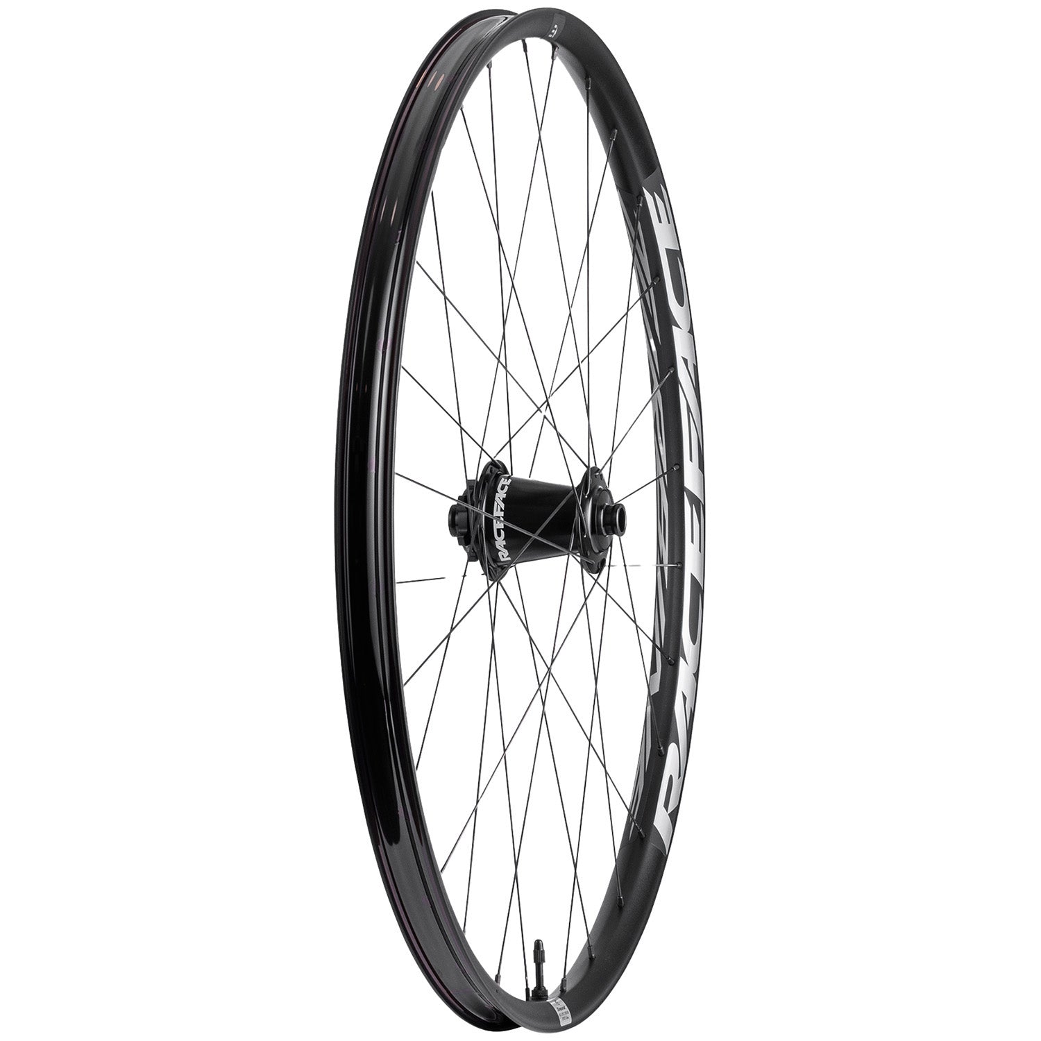 Race Face Turbine eMTB Wheels - Thumbnail 2