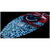Phase Five Key Jett Shreds Wakesurf Board 2025