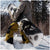Cardiff Goat Pro Carbon Snowboard 2026