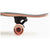 Landyachtz Stratus 46 Sanctuary Longboard Complete