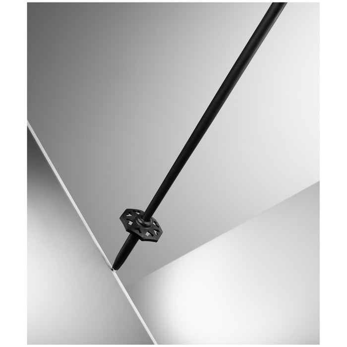Black Crows Stans Ski Poles Black/Pink