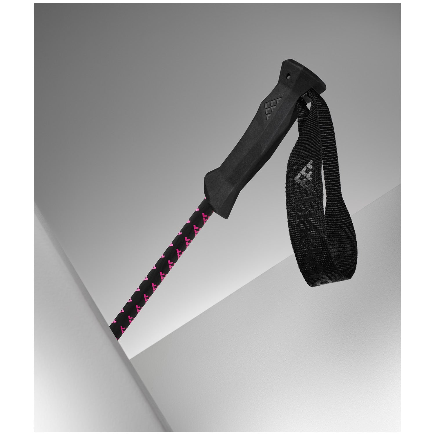 Black Crows Stans Ski Poles 2026 – evo