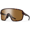 Matte Tortoise/ChromaPop Polarized Brown+Clear