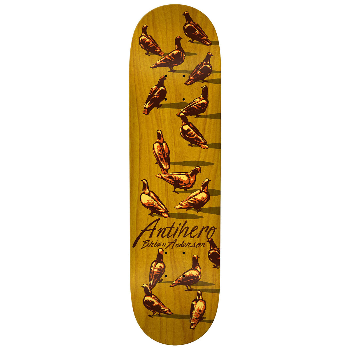 Anti Hero BA Dawn Of Pigeon 8.8 Skateboard Deck