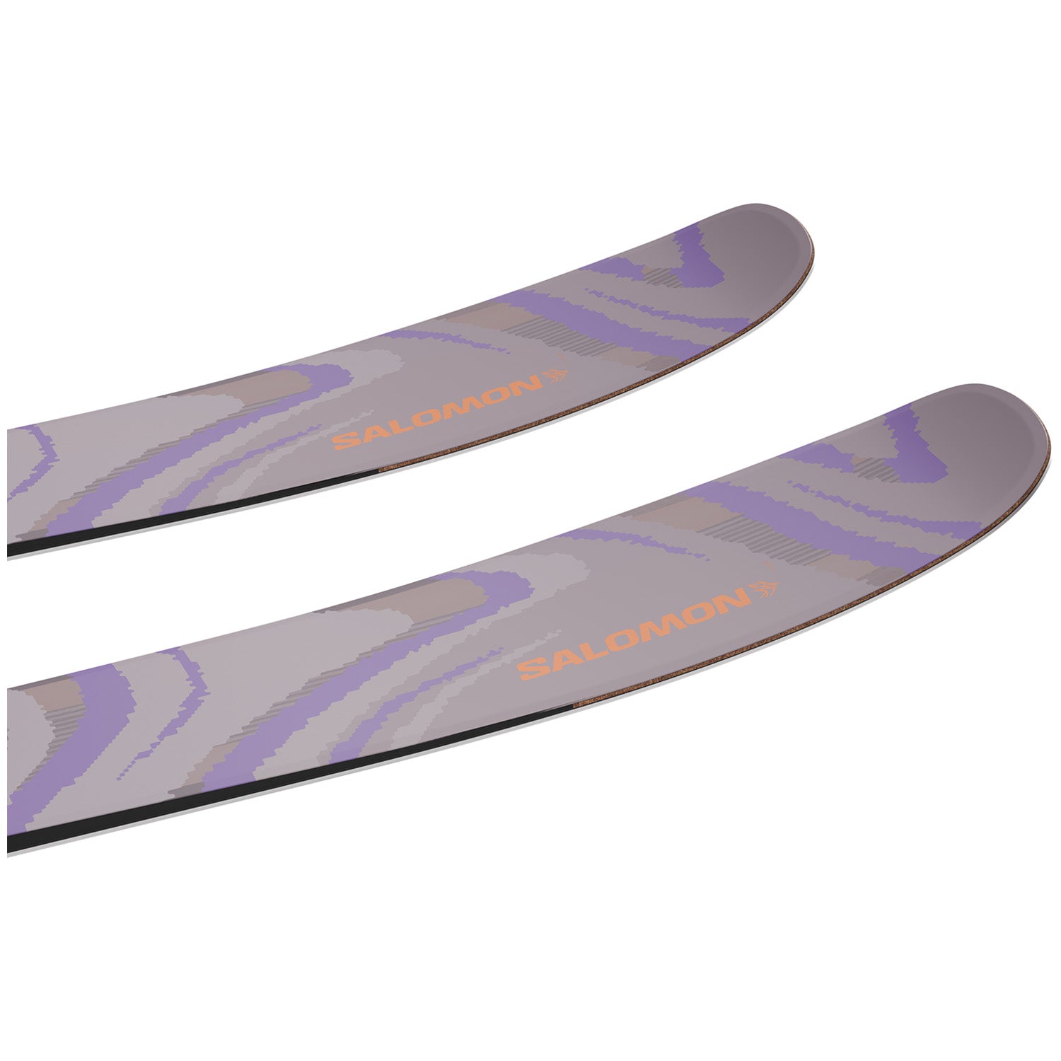 Salomon QST 106 Skis 2026 – evo
