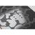 Nitro Dinghy Snowboard 2026