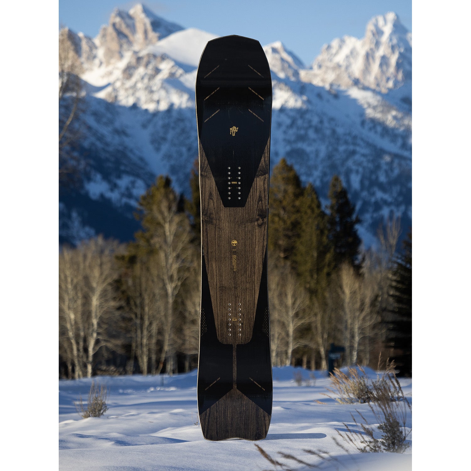 Arbor Bryan Iguchi Pro Snowboard 2026 – evo