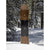 Arbor Element Snowboard 2026