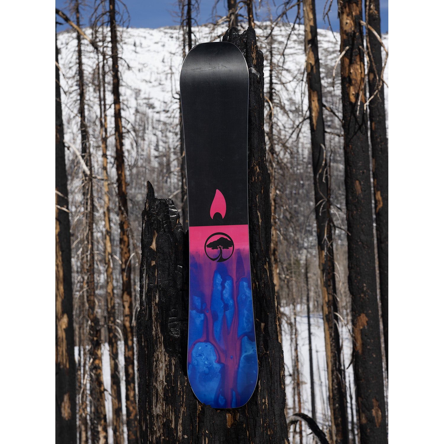 Arbor Rain Snowboard 2026 – evo