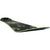 Yes. Shifter XTRM Eiki 3D Snowboard 2026