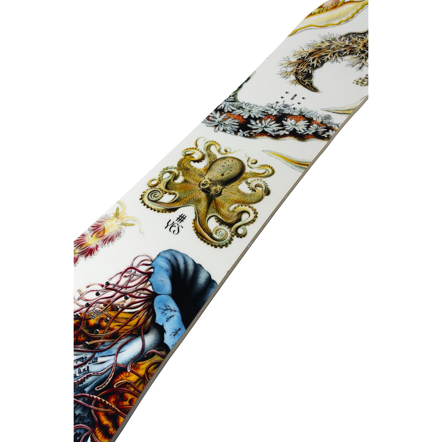 Yes. Hel Yes Snowboard - Women's 2026 – evo