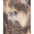 Ripton Fungi Short - Women's Fungi