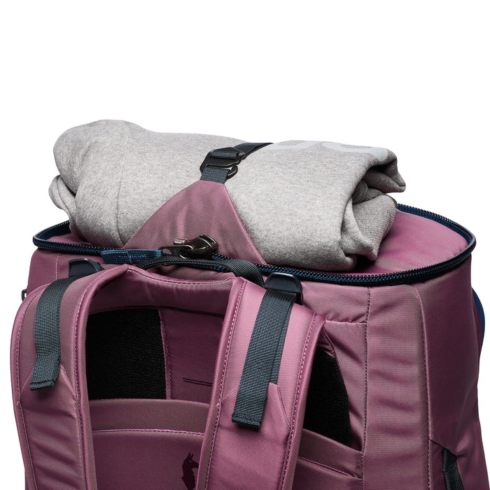 Cotopaxi Allpa 50L Adventure Travel Pack Fig