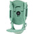 Burton Step On Lexa X EST Snowboard Bindings - Women's 2026 Sage Green