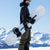 Nidecker Escape Snowboard