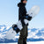 Nidecker Alpha Snowboard