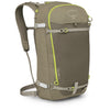 Olive Tan