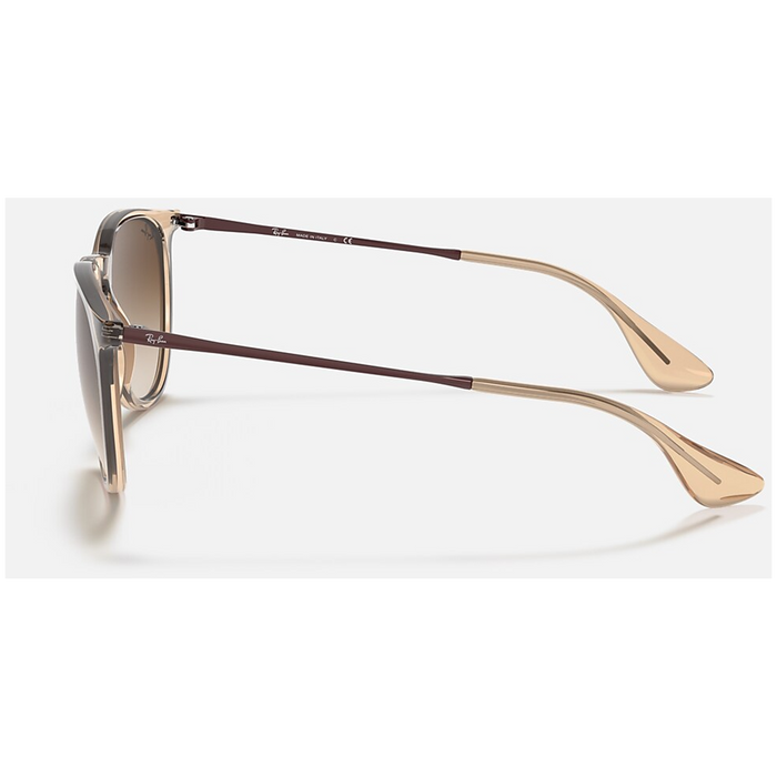Ray Ban Erika 54 Sunglasses - Women's Transparent Light Brown/Brown Gradient Dark Brown
