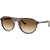 Ray Ban RB2215 59 Sunglasses Havana Yellow Turtle/Clear Gradient Brown
